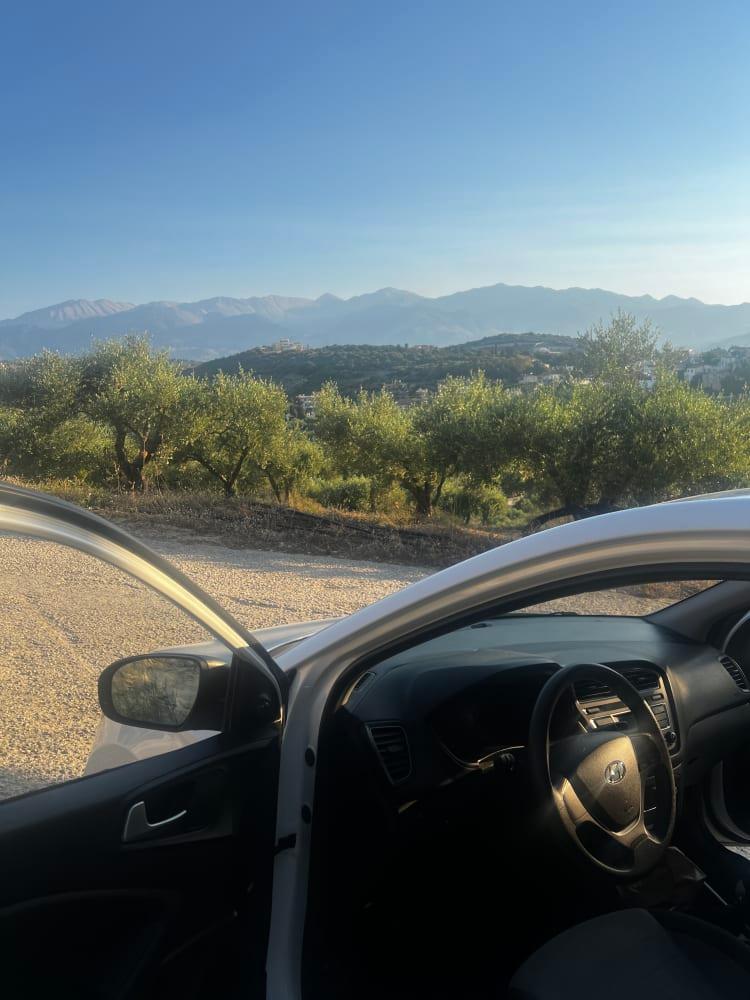 På vej til olivenlunden