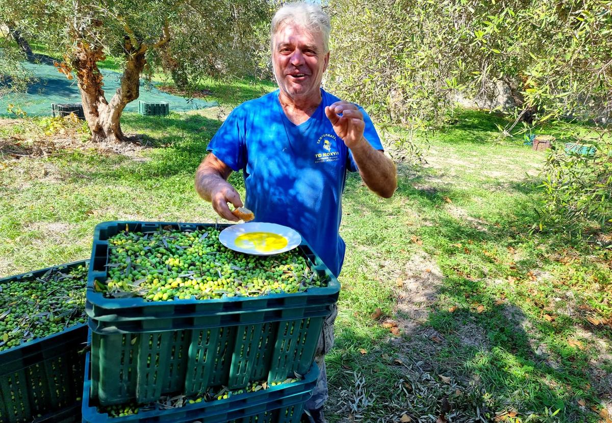 Olivendyrkerne bag Happy Olive