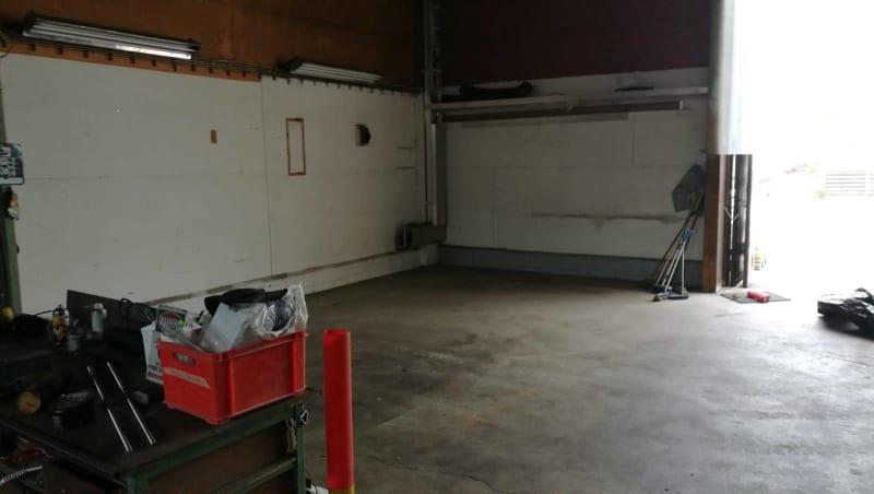 Små dyrkeres friske olivenolie kommer fra tidlig høst (Early Harvest)