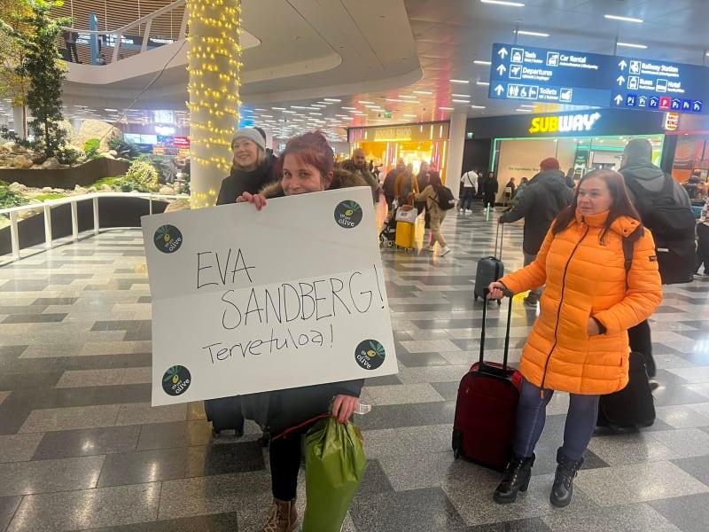 Små dyrkeres friske olivenolie kommer fra tidlig høst (Early Harvest)