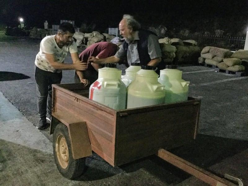 Små dyrkeres friske olivenolie kommer fra tidlig høst (Early Harvest)